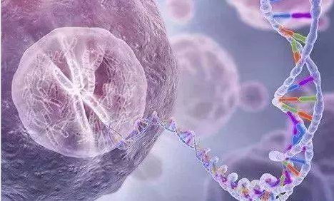 烈冰助力snRNA-Seq||震惊！冻存样本也能做单细胞？