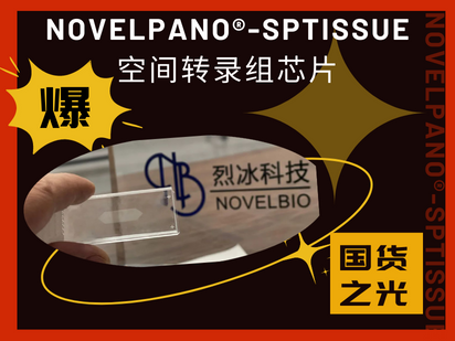 国产之光！烈冰智造成功开发空间转录组50μm级点阵芯片