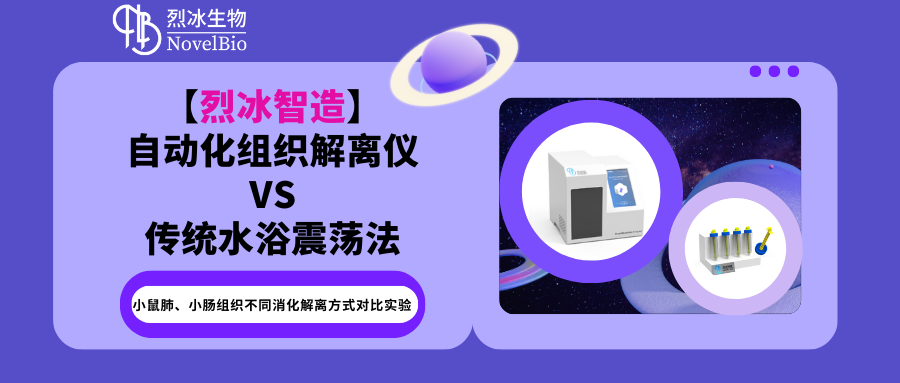 小鼠肺、小肠组织不同消化解离方式对比实验