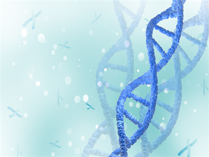 热烈庆祝Mksport体育NovelBio协助吉林大学发表BMC Cancer (IF=3.36)