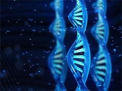 烈冰科技协助北京同仁医院眼科研究者发表权威眼科杂志文章!